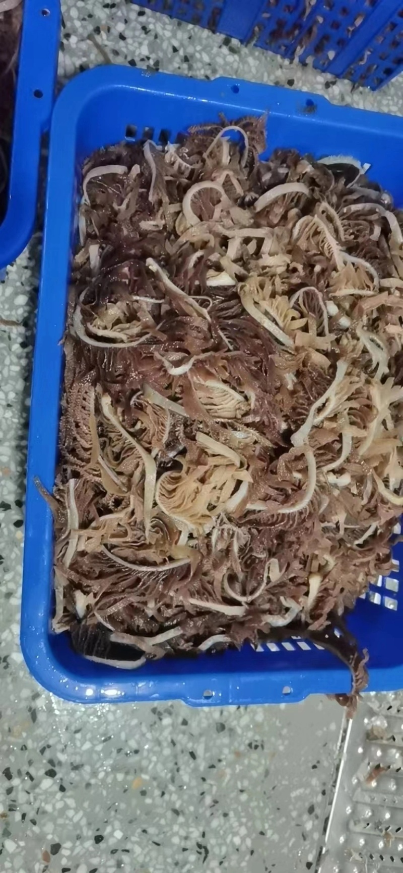 毛肚，精品黑千层，品质保障，可以根据买家需求打包发货
