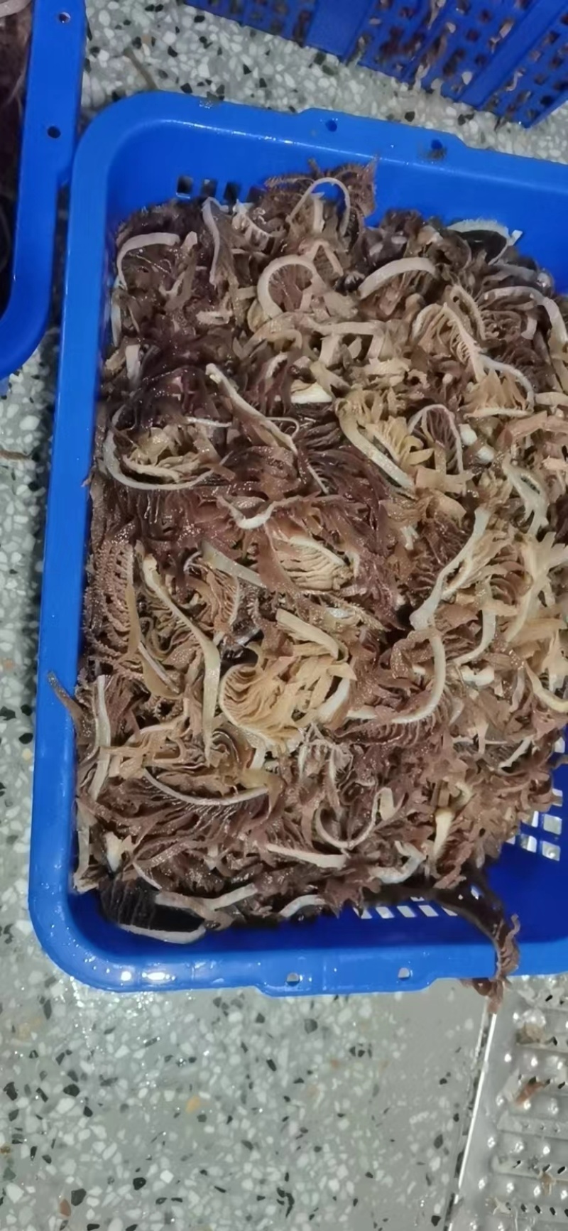 毛肚，精品黑千层，品质保障，可以根据买家需求打包发货