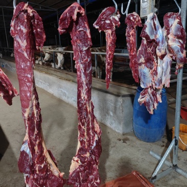 鲜牛肉，无注水鲜牛肉，全国发货