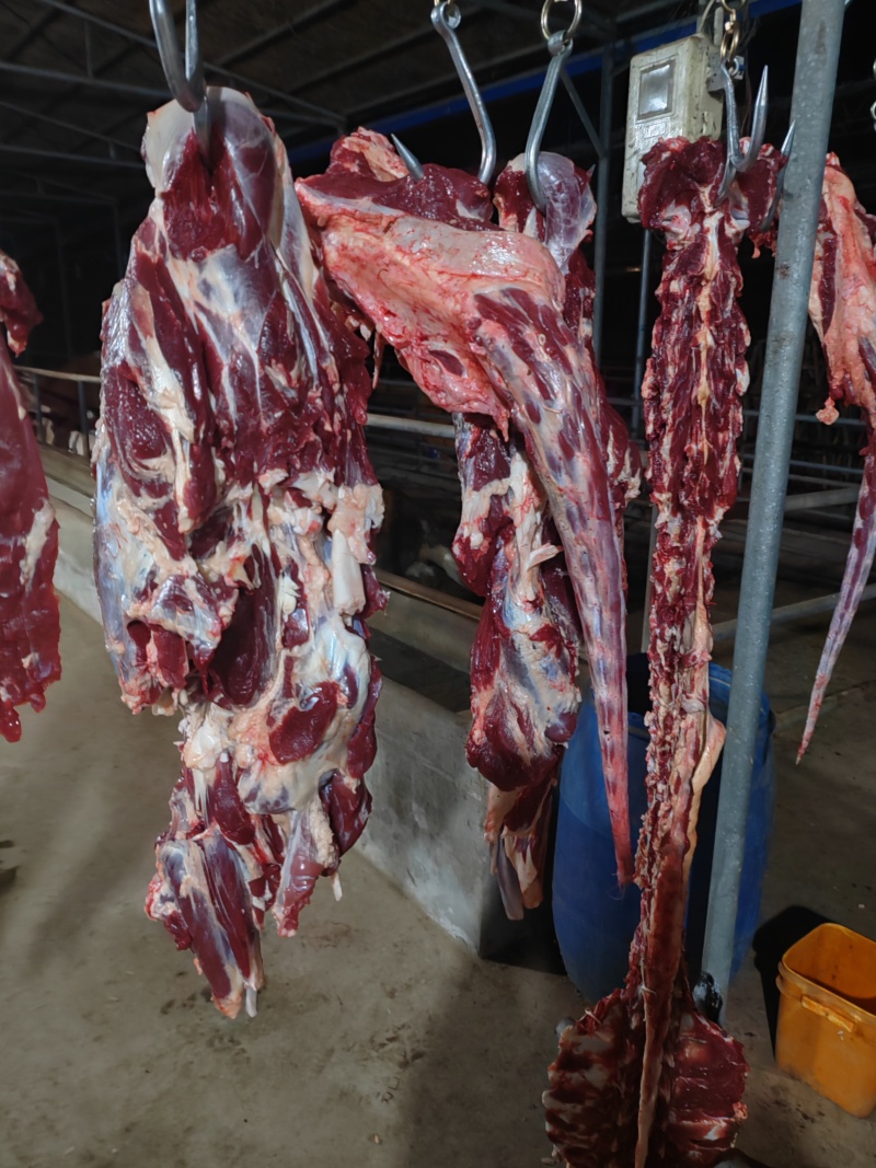 鲜牛肉，无注水鲜牛肉，全国发货