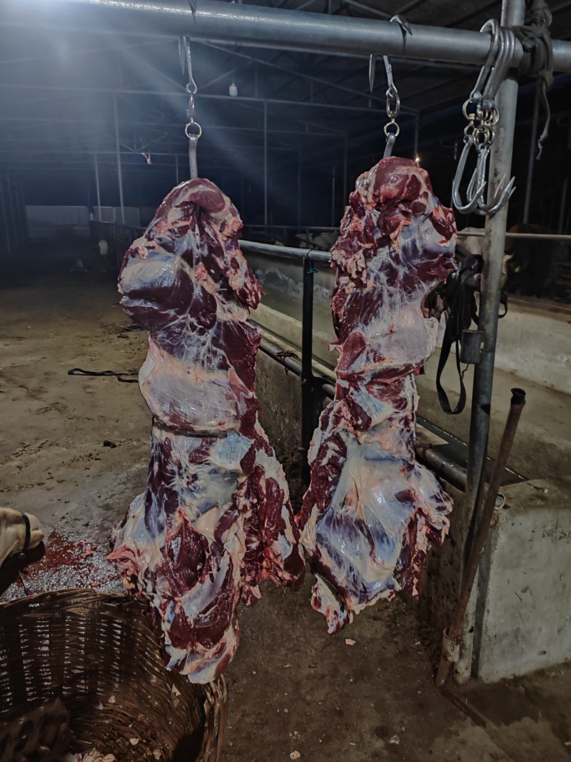 鲜牛肉，无注水鲜牛肉，全国发货