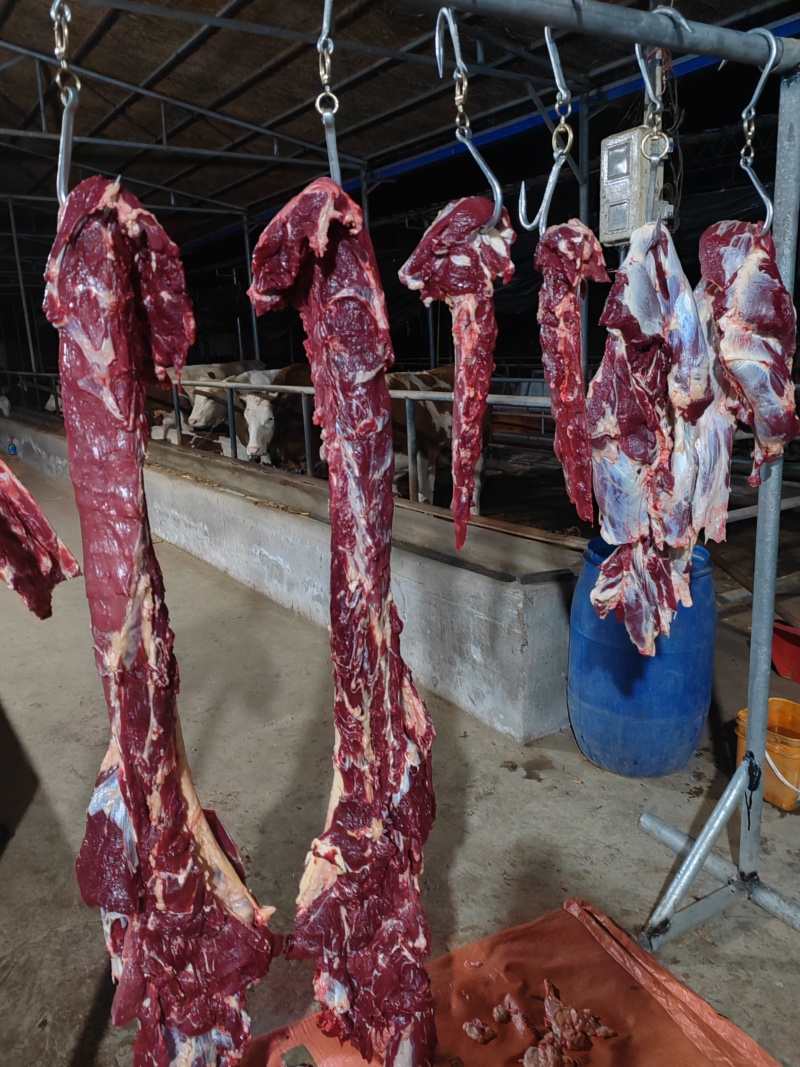 鲜牛肉，无注水鲜牛肉，全国发货
