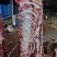 鲜牛肉，无注水鲜牛肉，全国发货