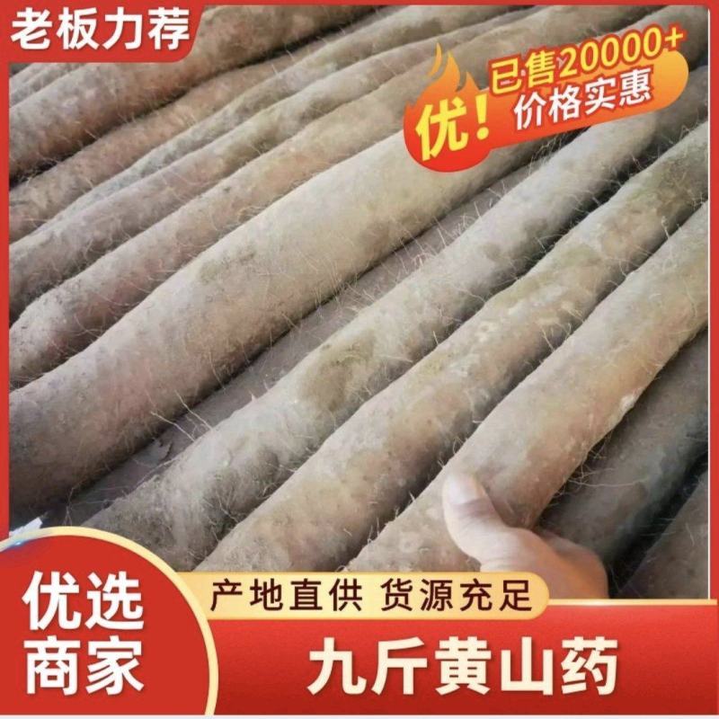 【实力推荐】湖北新鲜九斤黄山药对接全国量大从优干直量大