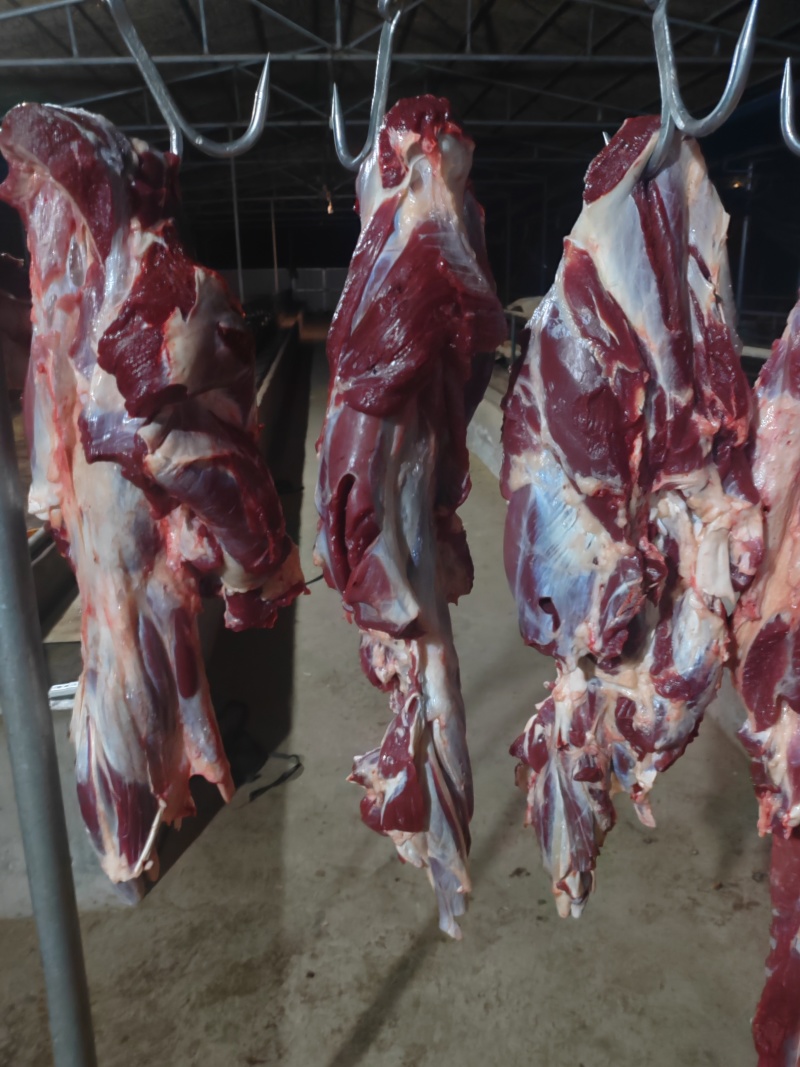 纯干鲜牛肉、每天现宰，牛前，牛后，牛排。量大优惠量大优惠