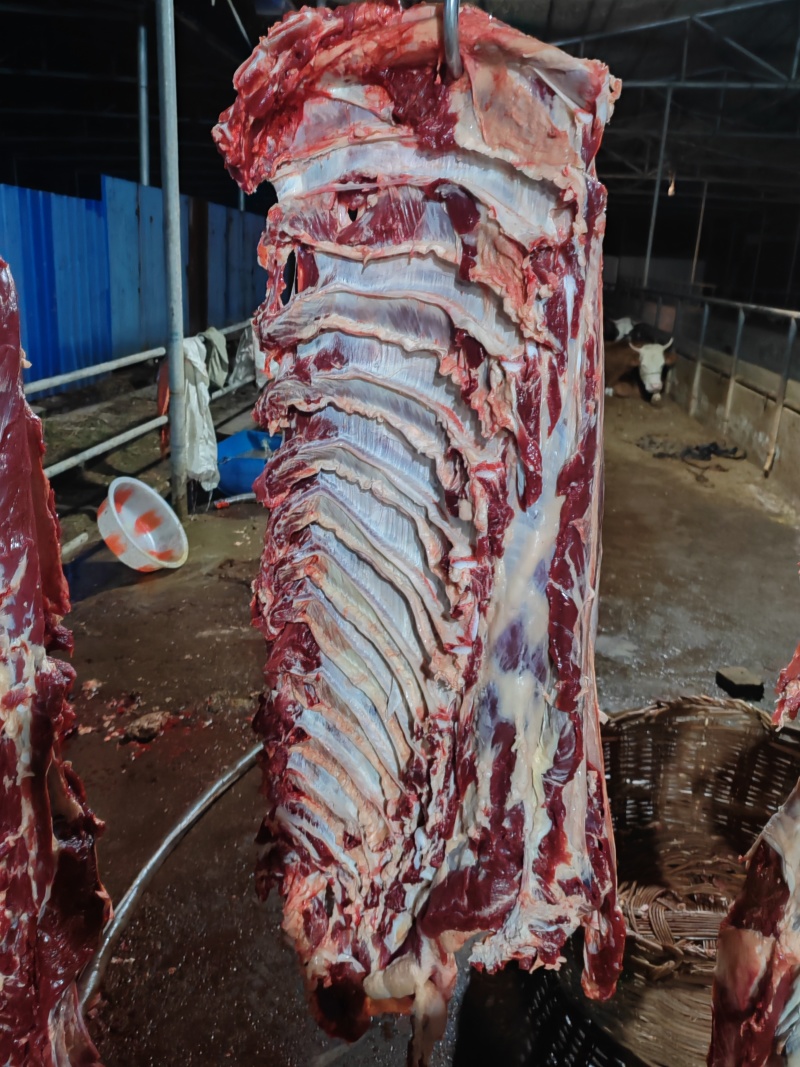 纯干鲜牛肉、每天现宰，牛前，牛后，牛排。量大优惠量大优惠