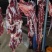 纯干鲜牛肉、每天现宰，牛前，牛后，牛排。量大优惠量大优惠