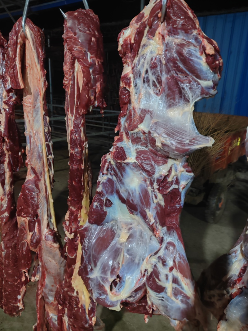 纯干鲜牛肉、每天现宰，牛前，牛后，牛排。量大优惠量大优惠