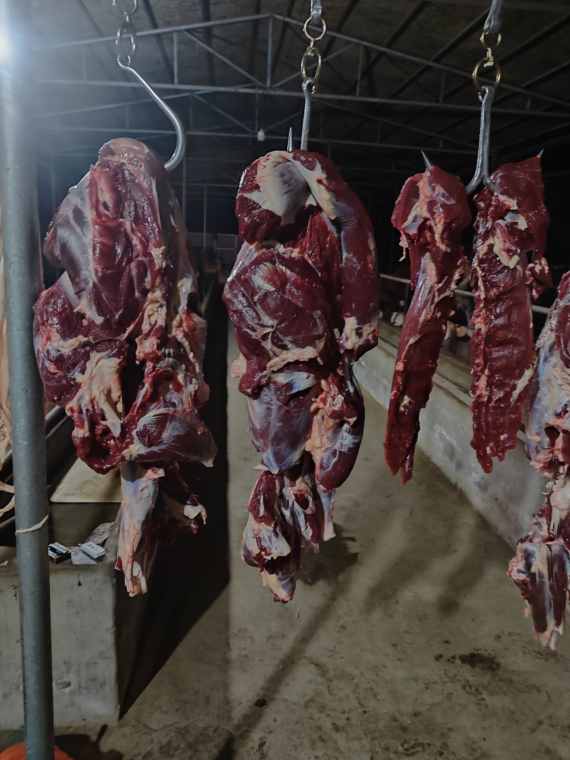 纯干鲜牛肉、每天现宰，牛前，牛后，牛排。量大优惠量大优惠