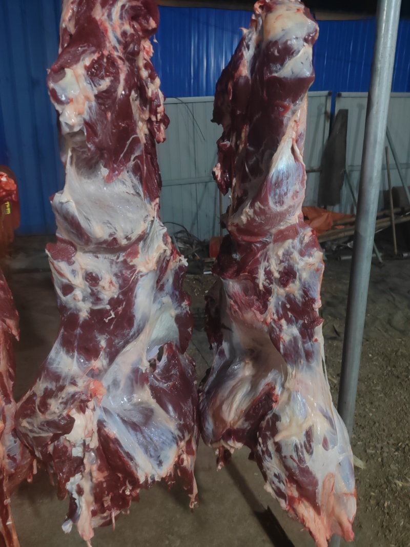 纯干鲜牛肉、每天现宰，牛前，牛后，牛排。量大优惠量大优惠