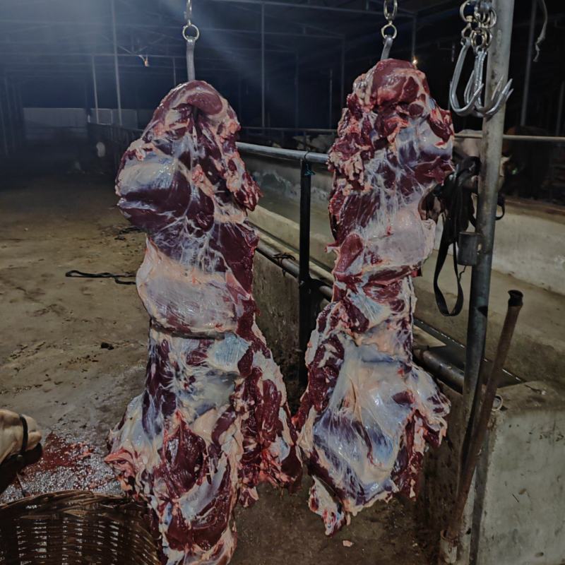 纯干鲜牛肉、每天现宰，牛前，牛后，牛排。量大优惠量大优惠