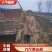 湖北新鲜九斤黄山药，湖北山药量大从优，品质保证