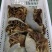 毛肚，黑整肚，水发黑整肚，品质保障，量大从优，欢迎咨询