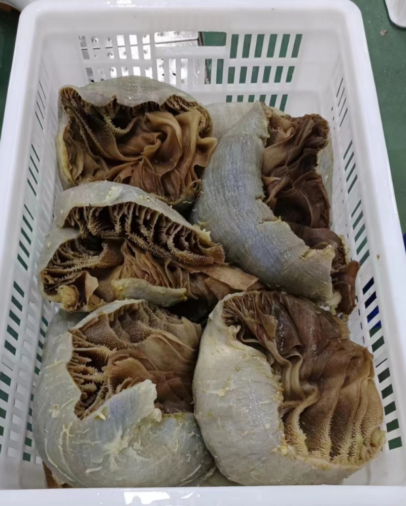 毛肚，黑整肚，水发黑整肚，品质保障，量大从优，欢迎咨询