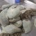 毛肚，黑整肚，水发黑整肚，品质保障，量大从优，欢迎咨询