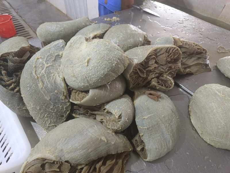 毛肚，黑整肚，水发黑整肚，品质保障，量大从优，欢迎咨询