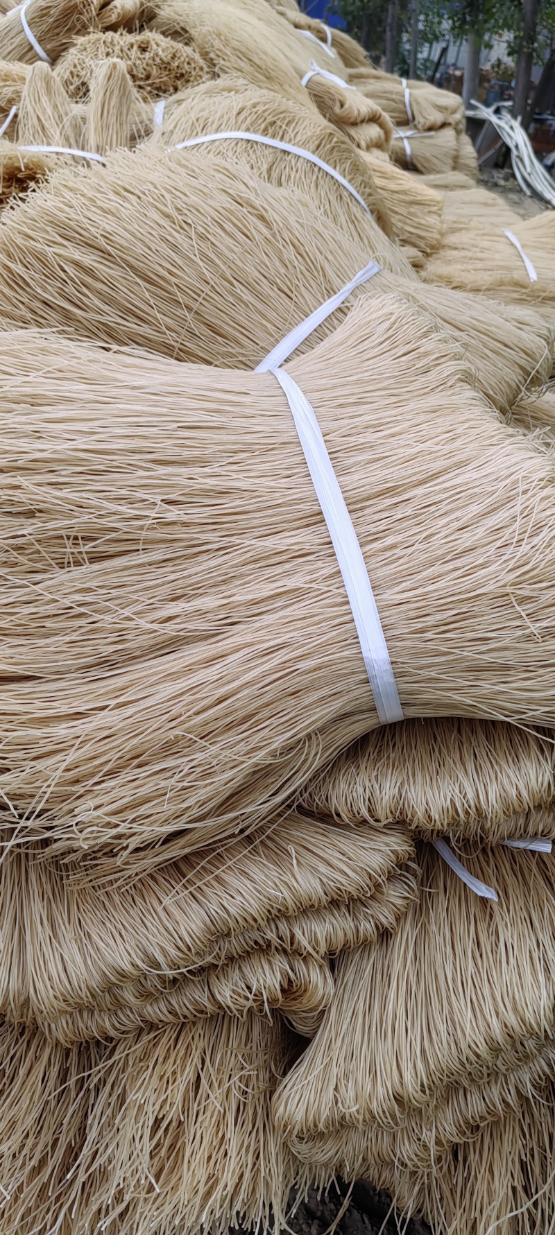 河南商丘粉条常年供应，质量保证，价格便宜，支持各种包装。
