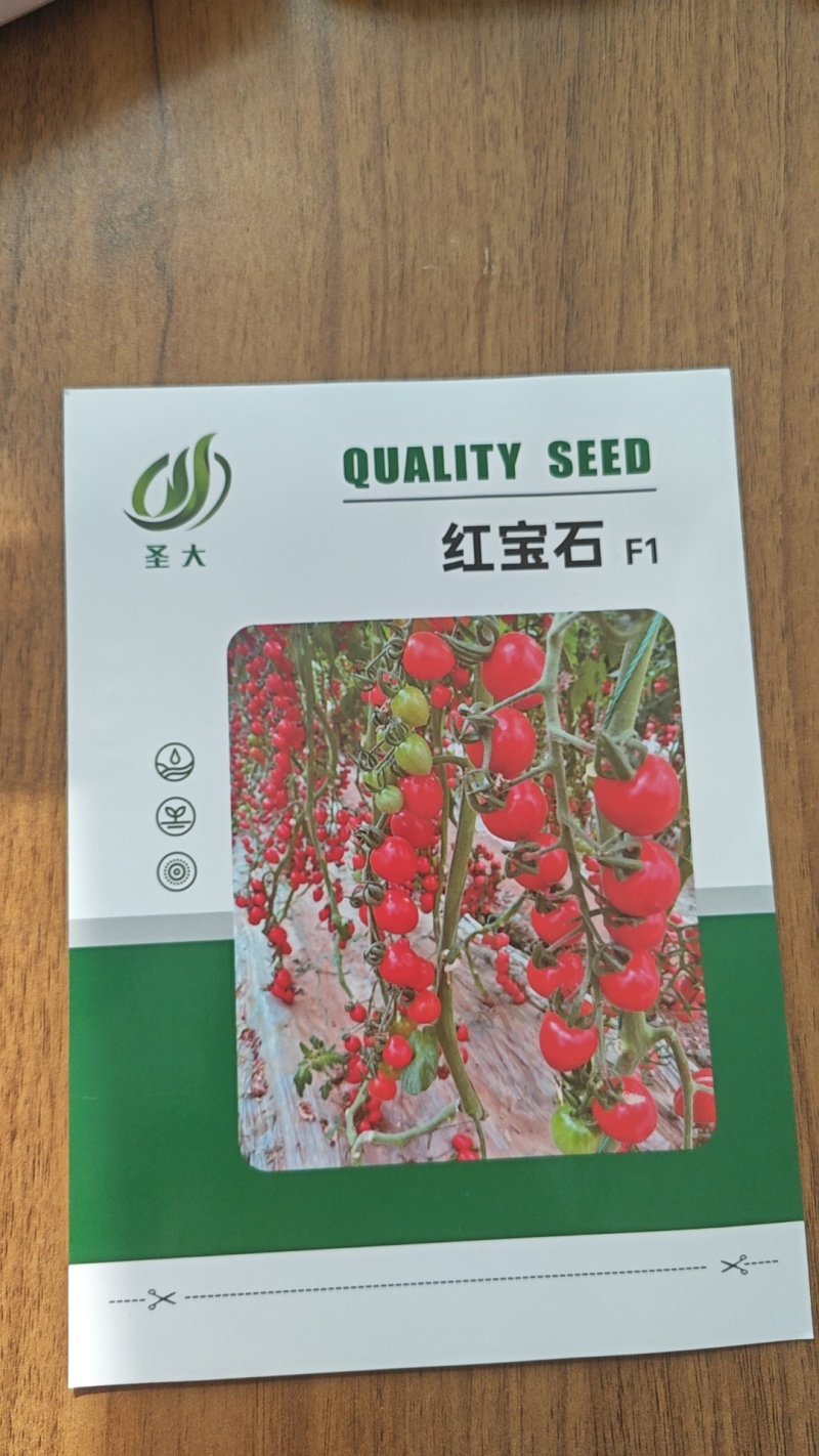 小番茄种子樱桃番茄种子圣女果种子红果靓丽果实鸡心型