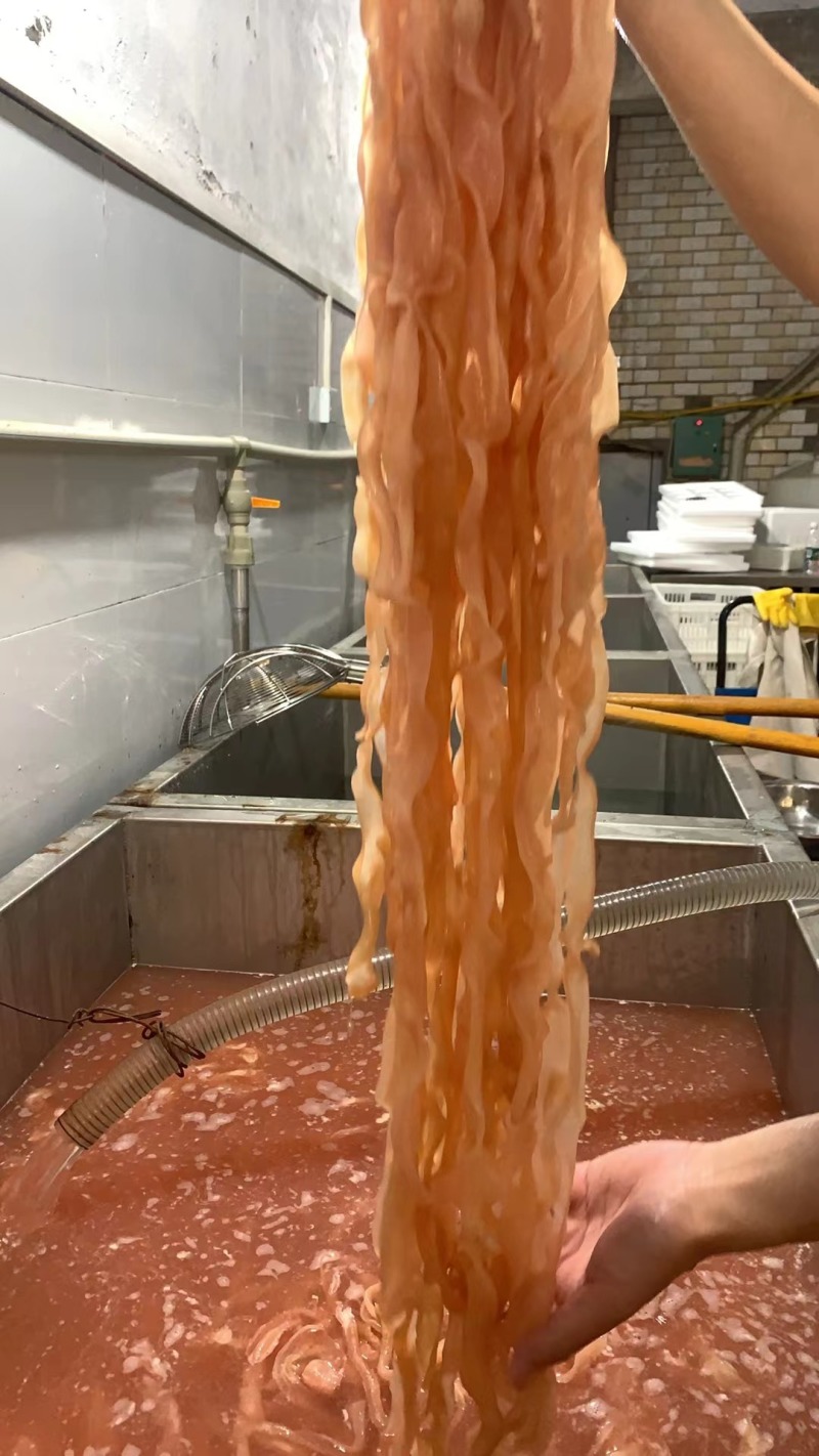 鸭肠，水发鸭肠，品质保障量大从优，可根据买家需要打包发货