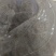 西皮毛肚，精品货源，品质保障，量大从优，欢迎咨询