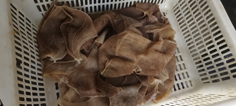 西皮毛肚，精品货源，品质保障，量大从优，欢迎咨询