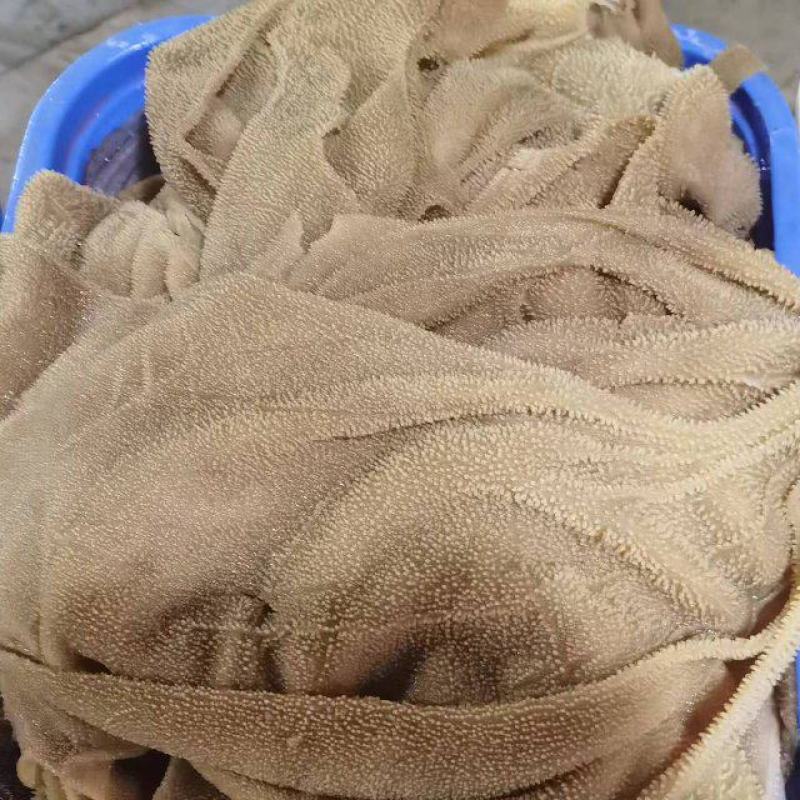 毛肚，牛肚，牛百叶大叶片，精品货源，品质保障，欢迎咨询