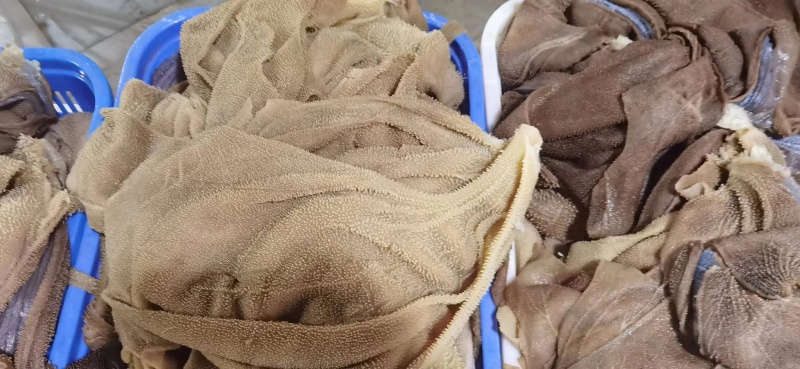 毛肚，牛肚，牛百叶大叶片，精品货源，品质保障，欢迎咨询