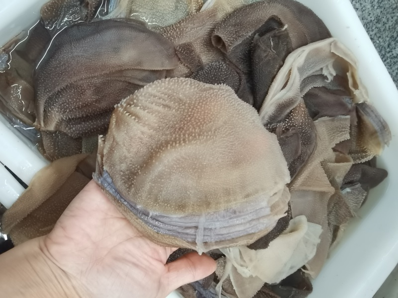 毛肚，牛肚，牛百叶大叶片，精品货源，品质保障，欢迎咨询