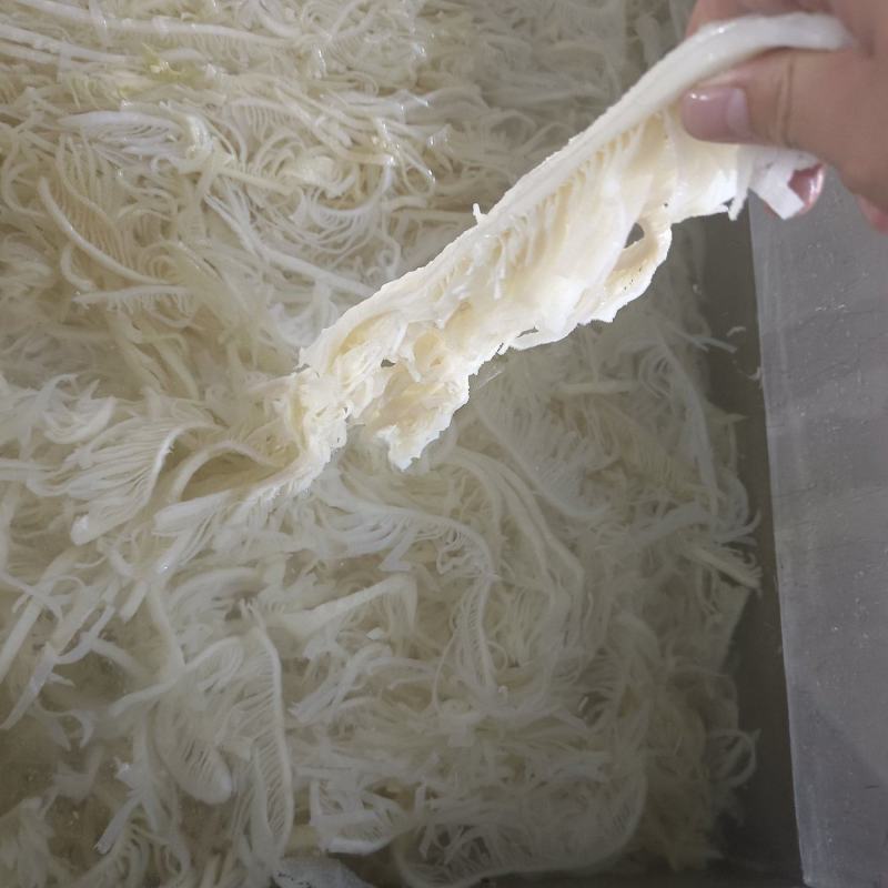 毛肚，水发白千层，品质保障，一手货源，量大从优，欢迎咨询