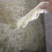 毛肚，水发白千层，品质保障，一手货源，量大从优，欢迎咨询