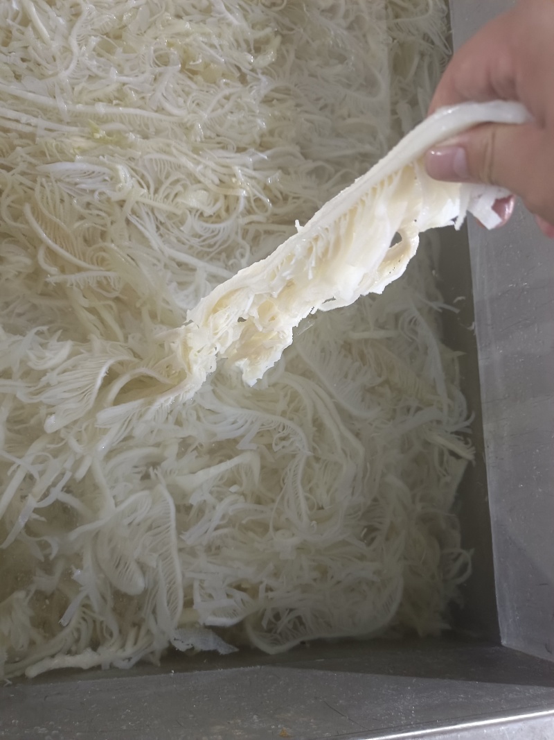 毛肚，水发白千层，品质保障，一手货源，量大从优，欢迎咨询