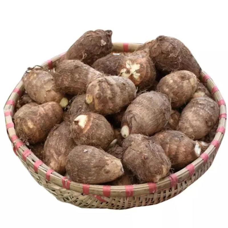 山东省，临沂市，优质毛芋头，豆包，各种毛芋头分，8520