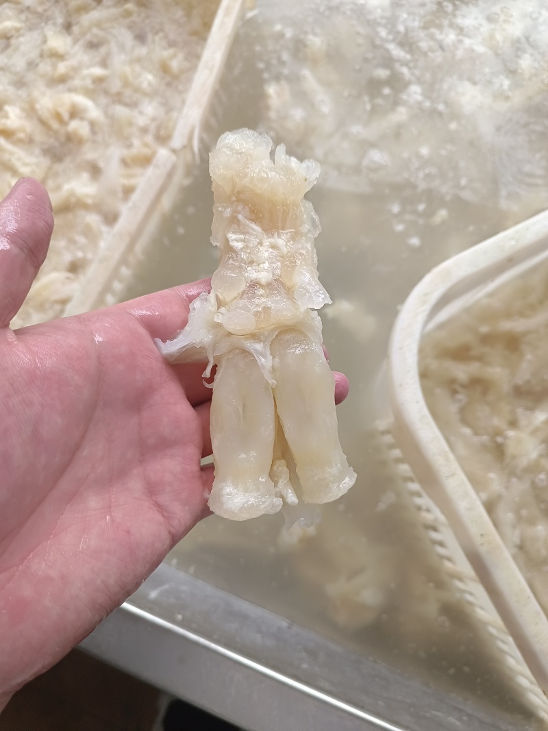 水发牛蹄筋可以根据买家要求打包发货，品质保障，一手货源