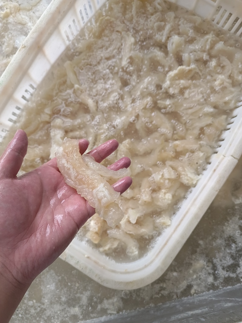 水发牛蹄筋可以根据买家要求打包发货，品质保障，一手货源