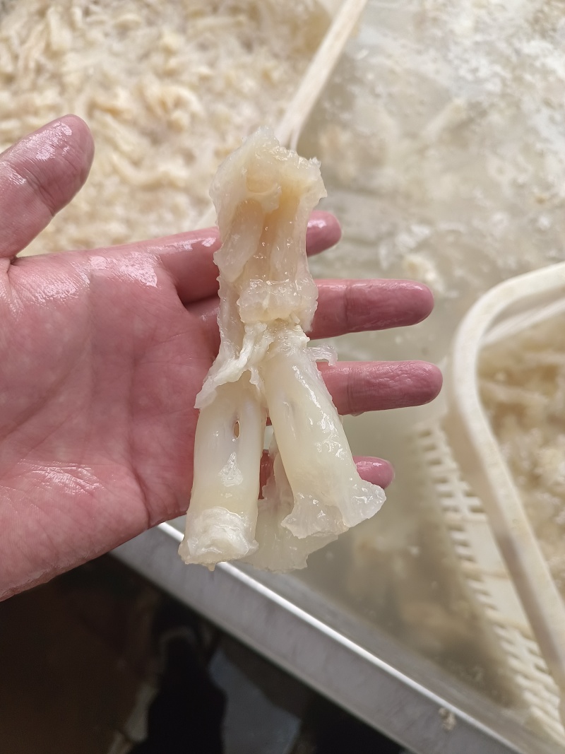 水发牛蹄筋可以根据买家要求打包发货，品质保障，一手货源