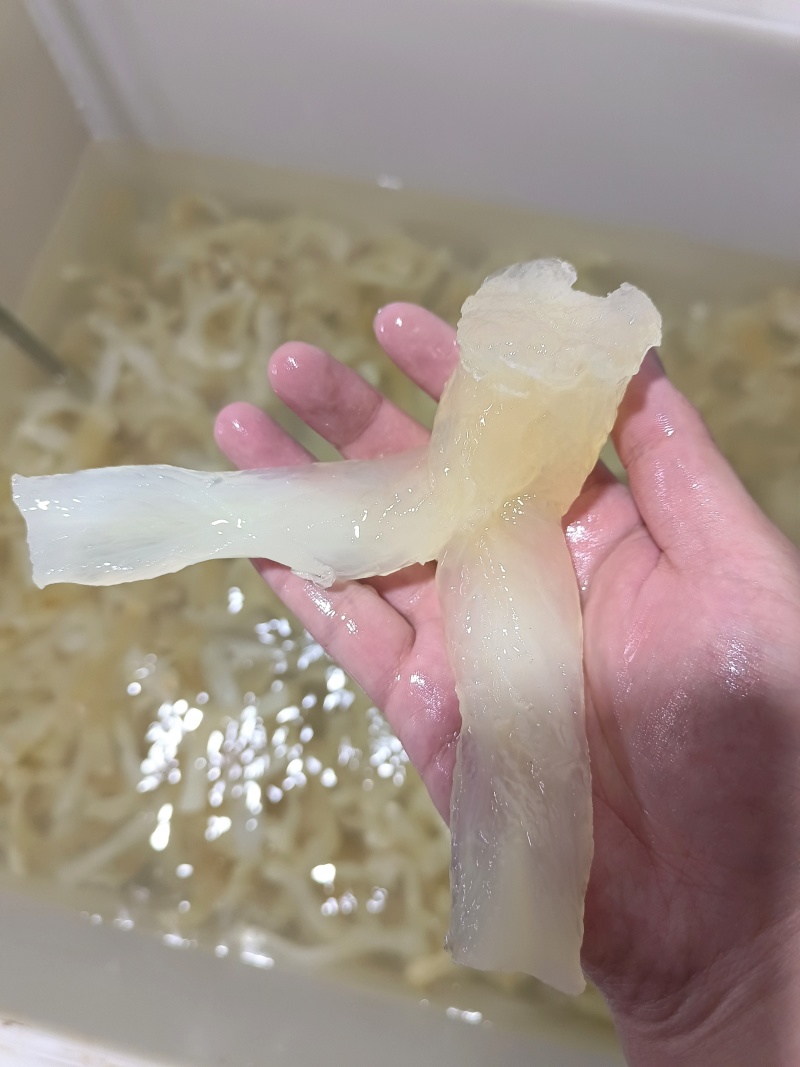 水发牛蹄筋可以根据买家要求打包发货，品质保障，一手货源