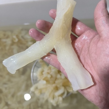 水发牛蹄筋可以根据买家要求打包发货，品质保障，一手货源