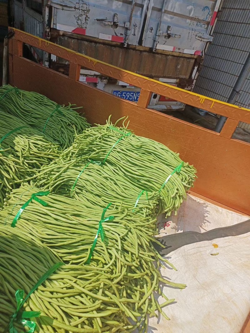 [推荐]长豆角，产地现货，大量对接市场，加工厂