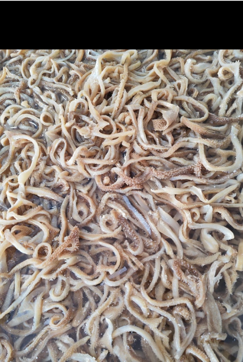 羊肚丝水发羊肚丝干净无杂厂家直供一手货源欢迎咨询