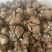 【现挖现发】云南茯苓鲜货供货量大价格面议电话联系