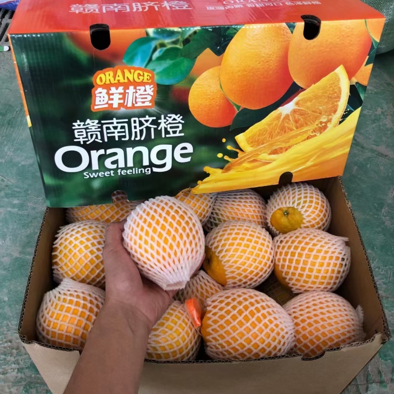 赣南脐橙
