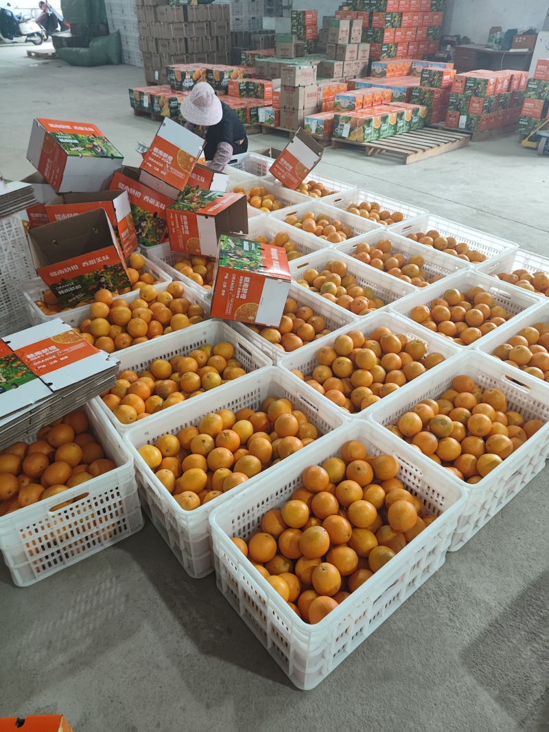 赣南脐橙