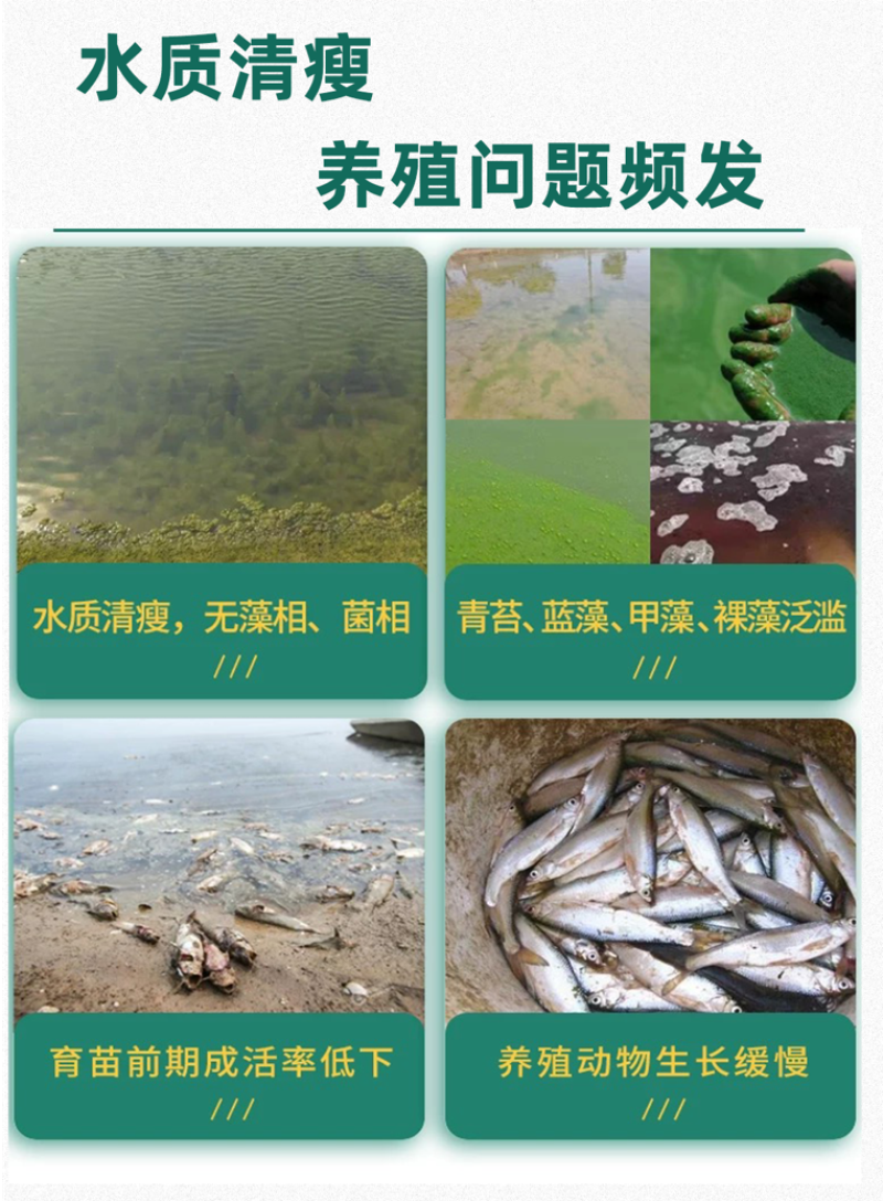 【水产肥】包邮，增产增收，改善水质，营养均衡。
