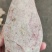 湖南本地老品种红薯淀粉含量高