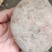 湖南本地老品种红薯淀粉含量高