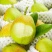 新疆香梨一级果150克