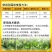 上海悦联-30%吡唑醚菌酯主要防治白粉病炭疽病