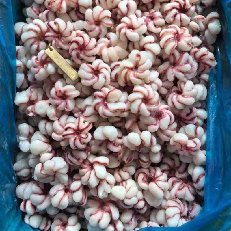 鱿鱼花花瓣鱿鱼捞汁涮火锅食材爆炒鱿鱼花海鲜批发