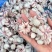 鱿鱼花花瓣鱿鱼捞汁涮火锅食材爆炒鱿鱼花海鲜批发