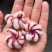 鱿鱼花花瓣鱿鱼捞汁涮火锅食材爆炒鱿鱼花海鲜批发